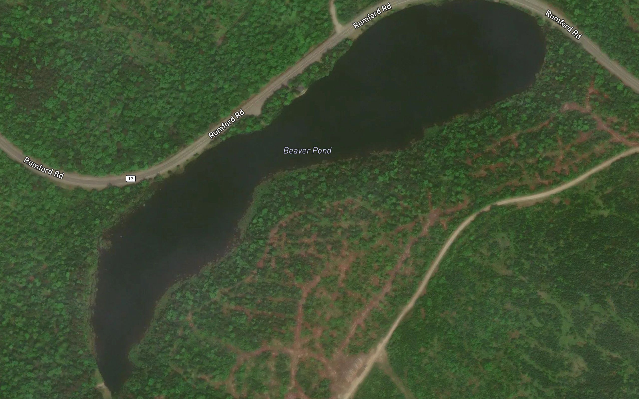 Beaver Pond