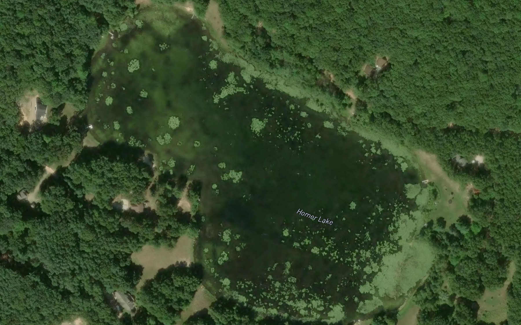 Satellite map of the Homer Lake