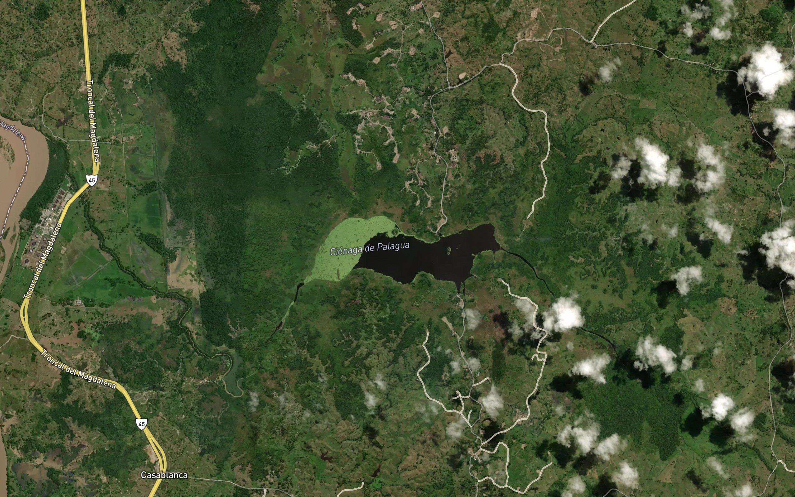 Cienaga de Palagua