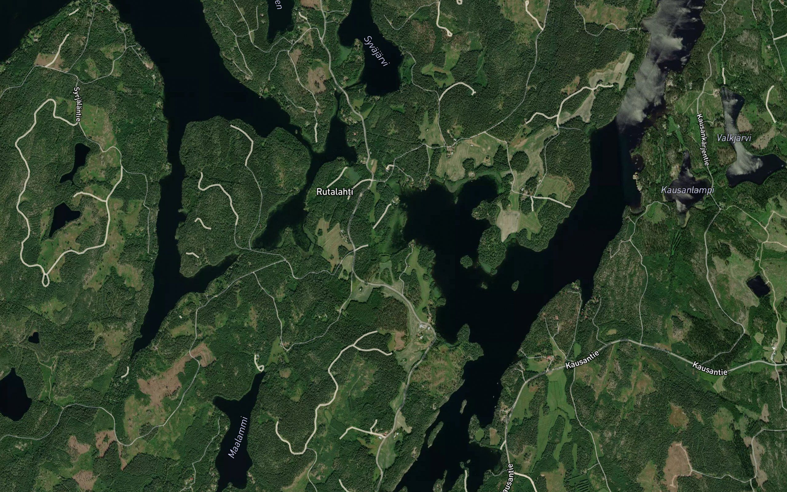 Suonpohja