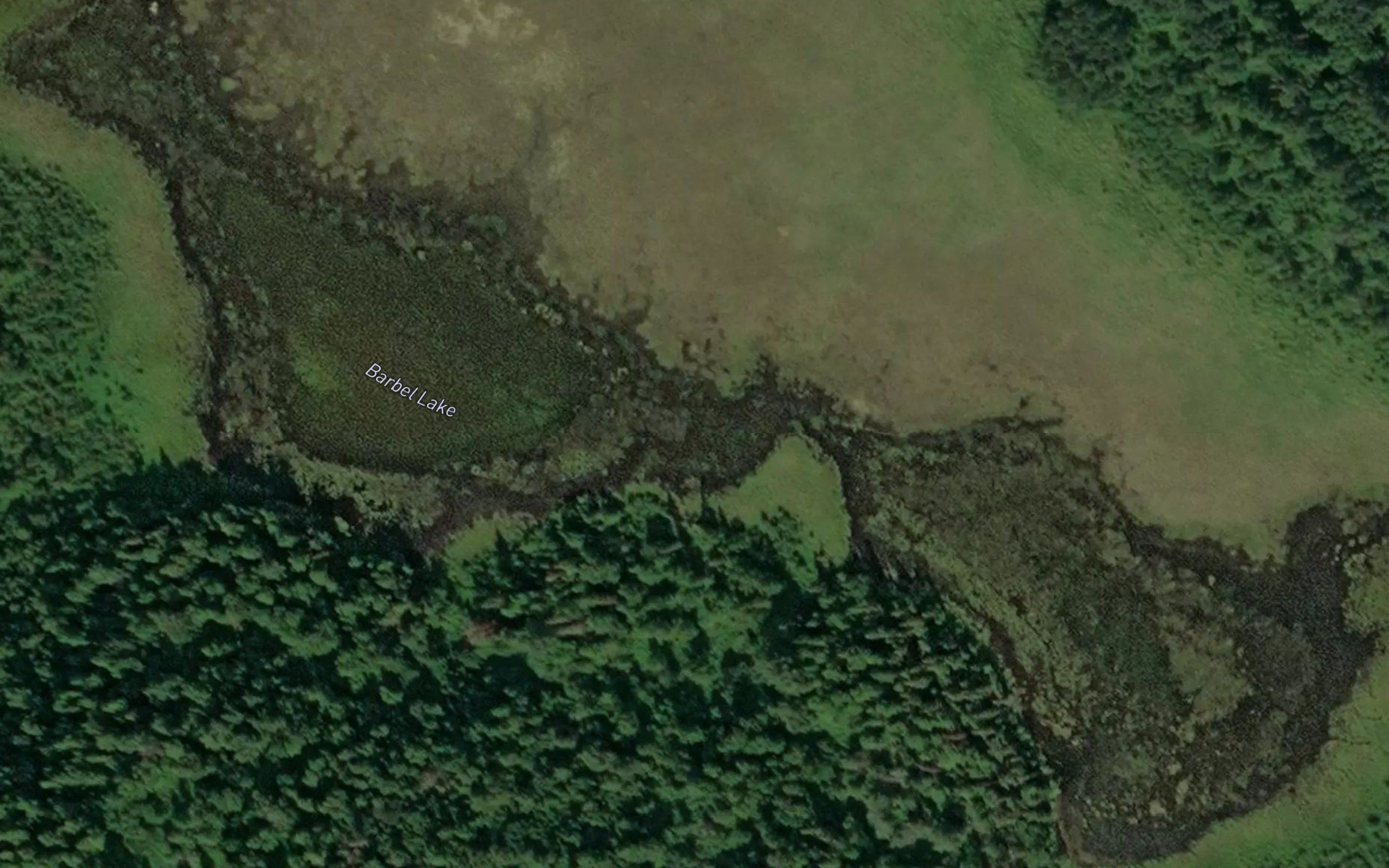 Barbel Lake