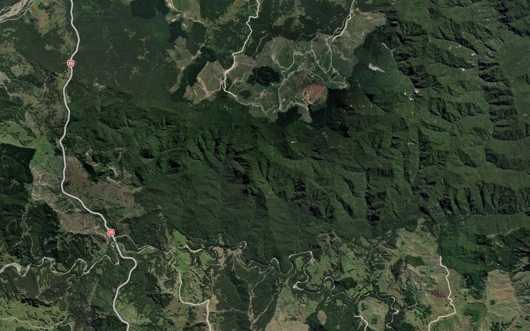 Satellite map of the Ngararapapa Stream