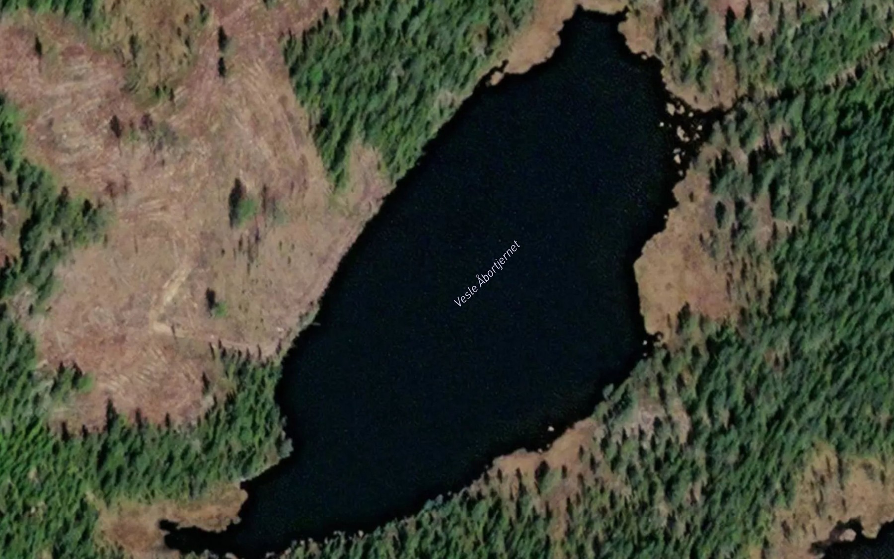 Satellite map of the Vesle Abortjernet