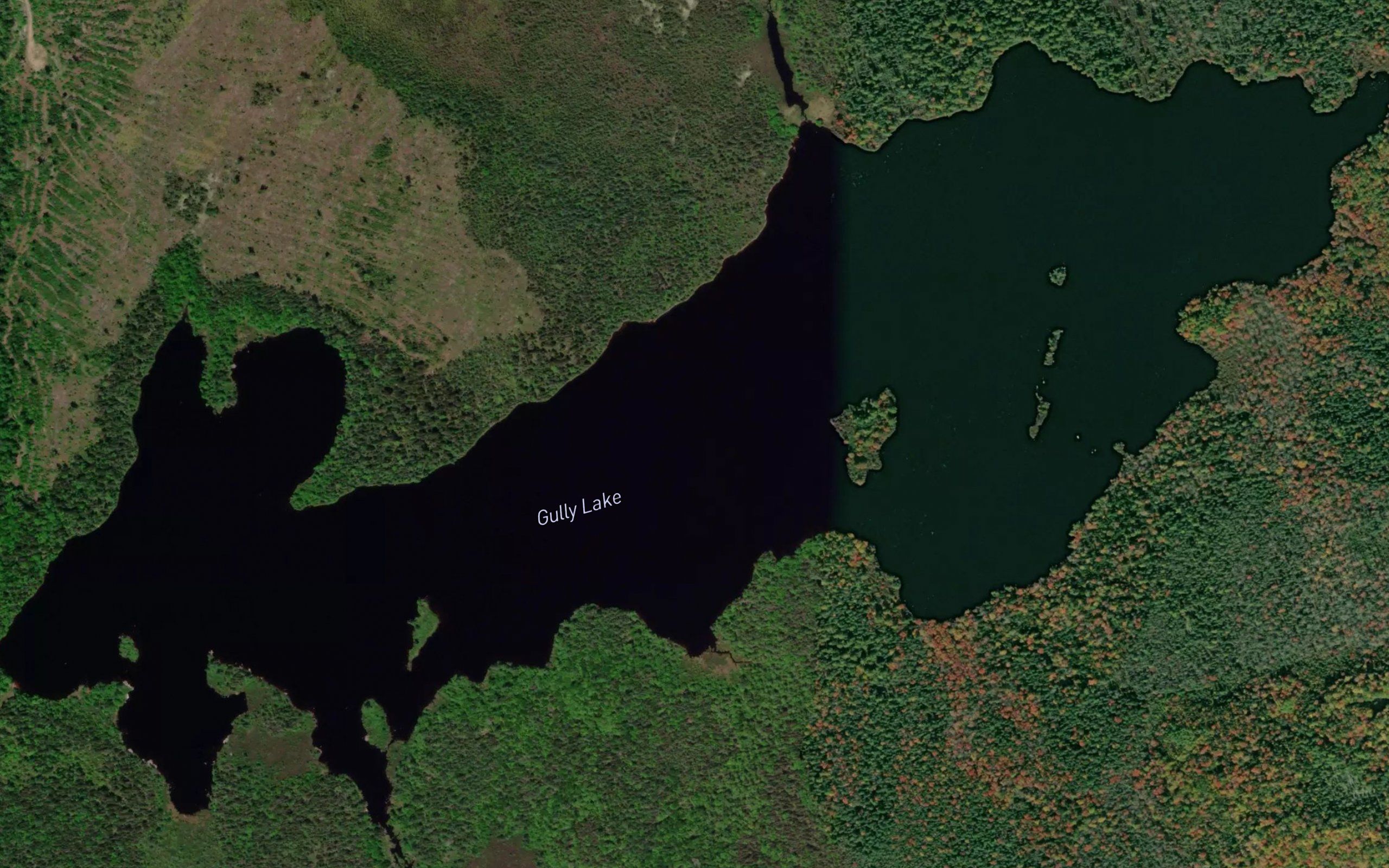 Gully Lake