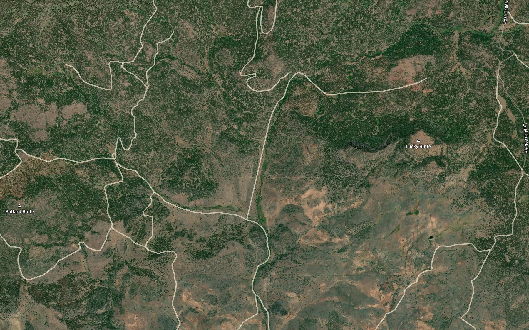 Satellite map of the Tamarack Creek