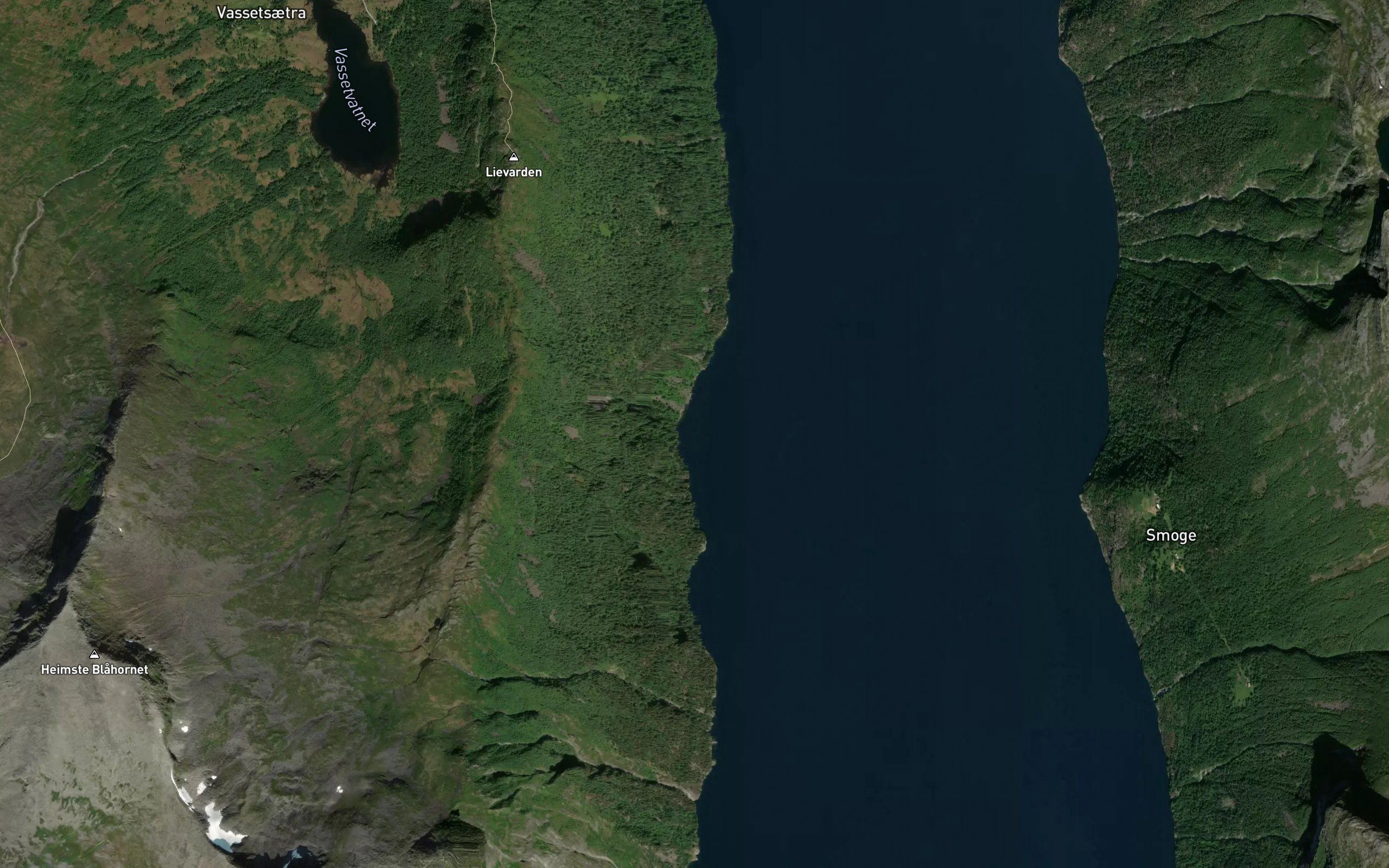 Dukevika