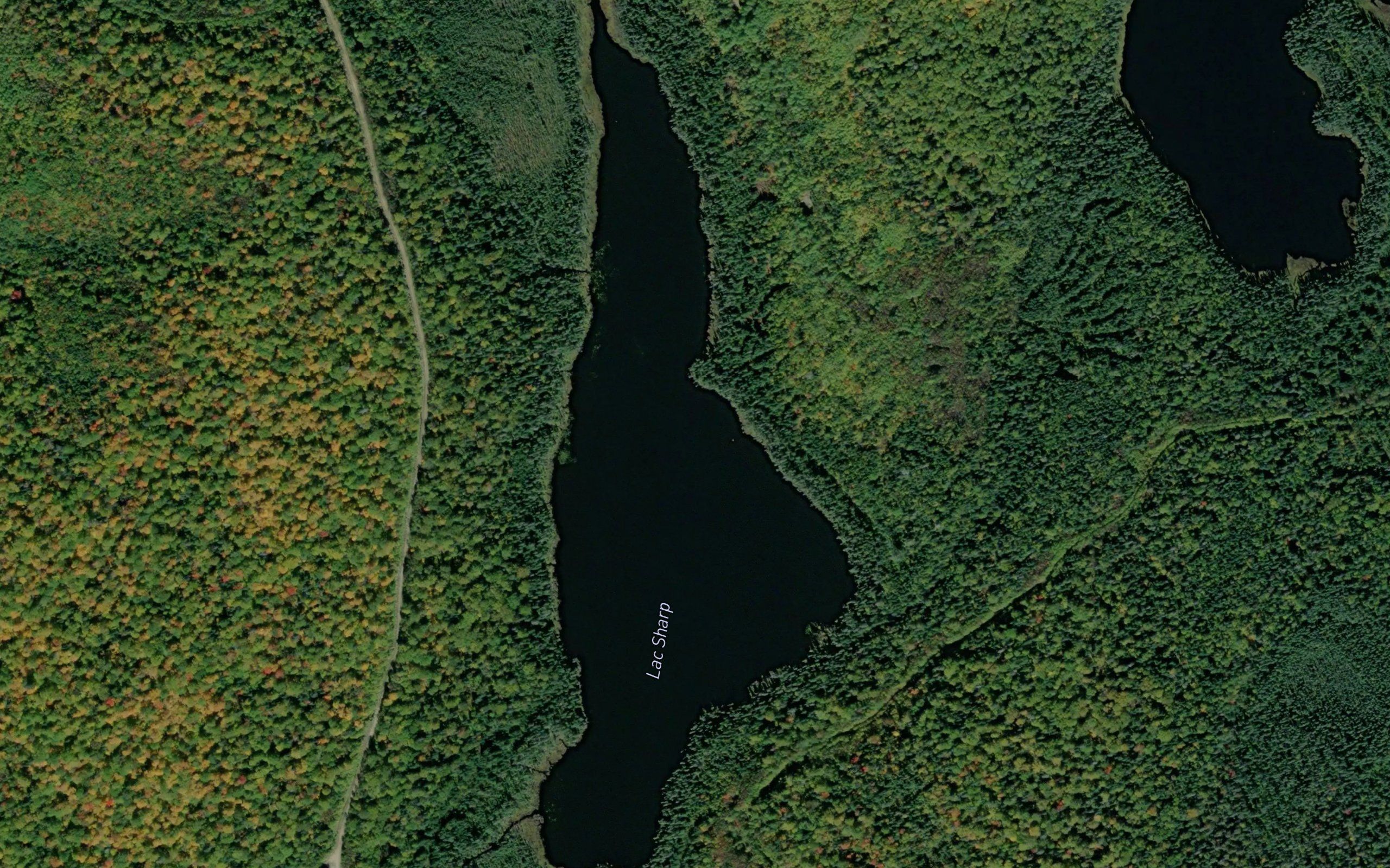 Lac Sharp
