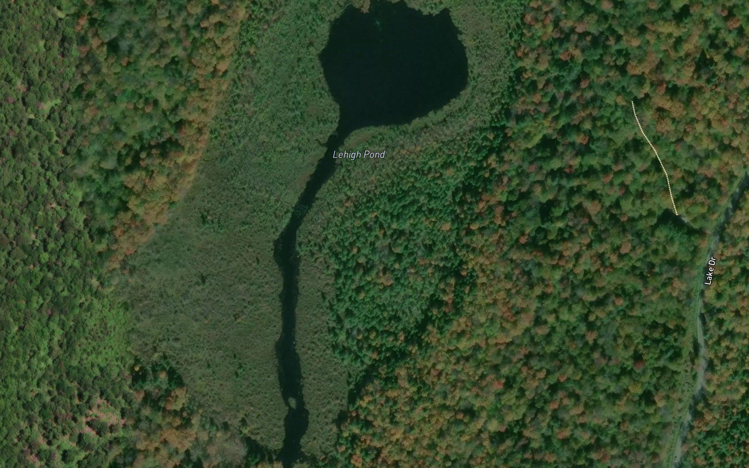 Lehigh Pond