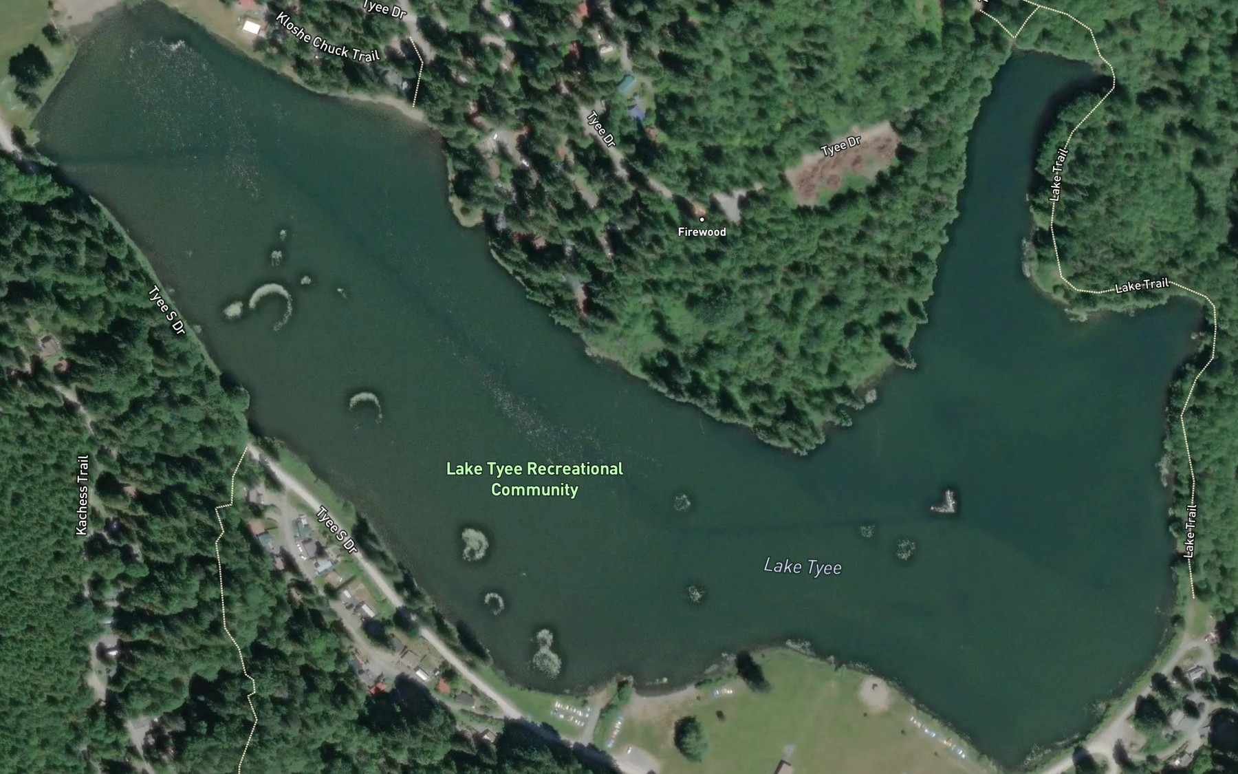 Satellite map of the Lake Tyee