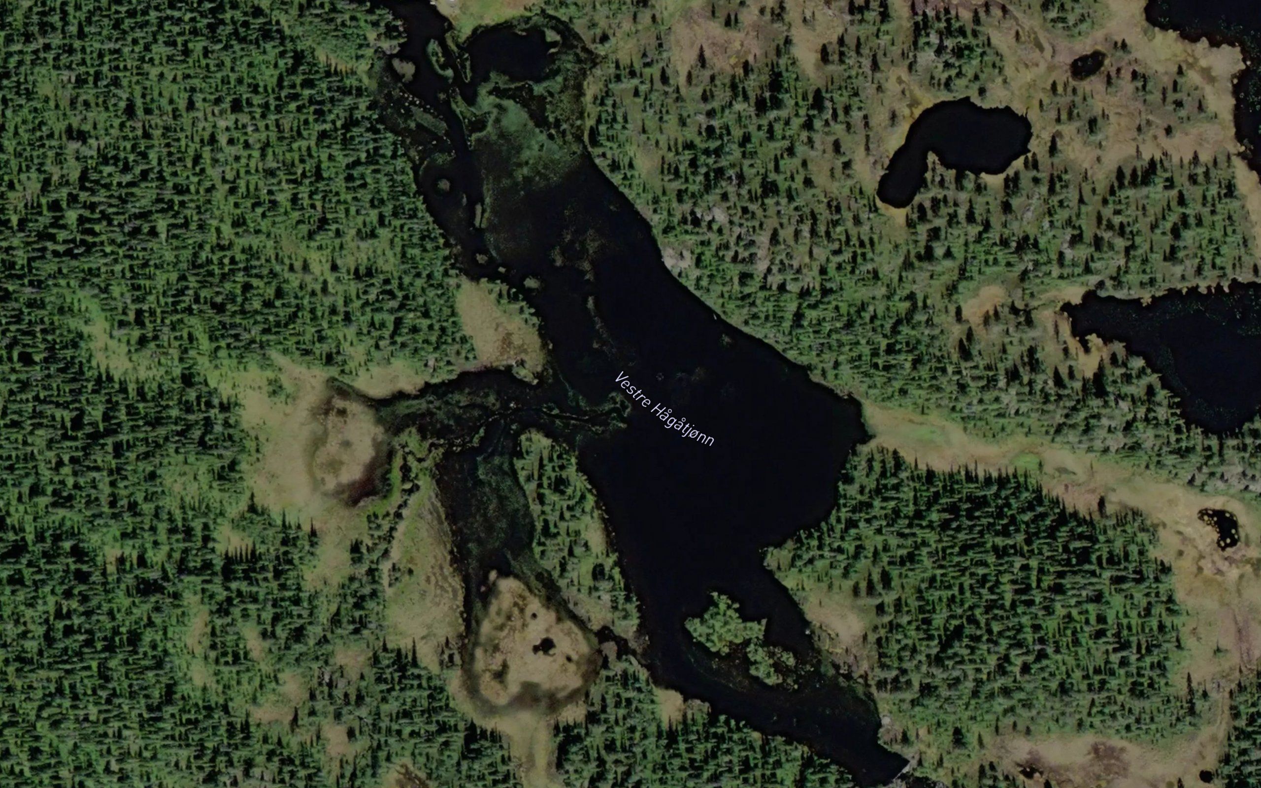 Hagatjorn