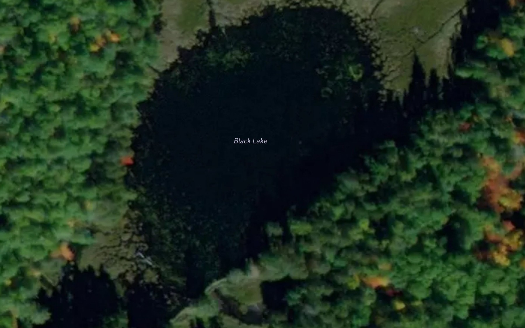 Satellite map of the Buck Lake