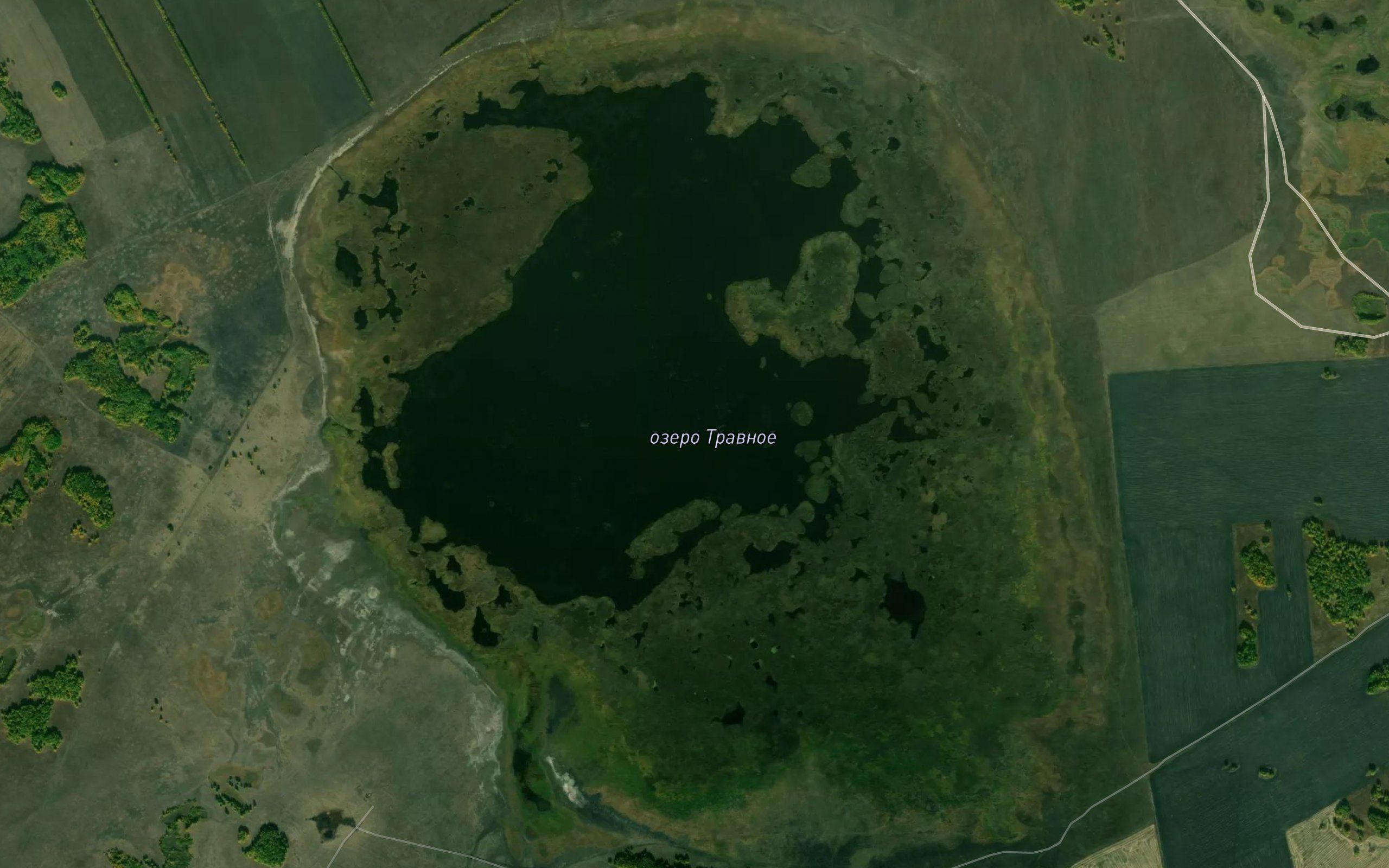 Ozero Travnoye