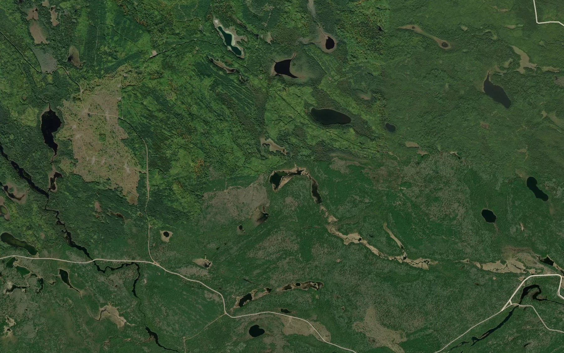 Satellite map of the Springlet Lake