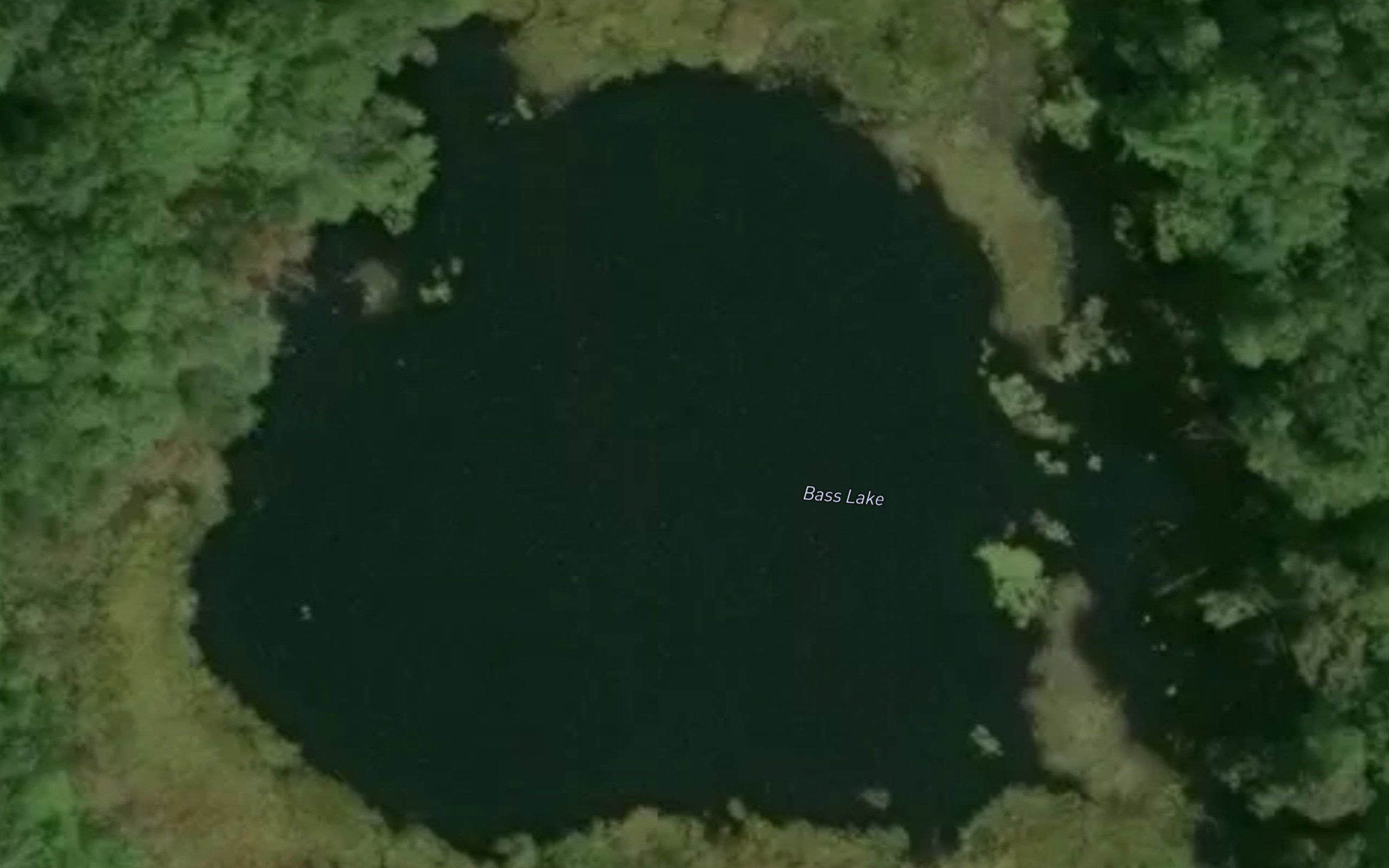 Bass Lake