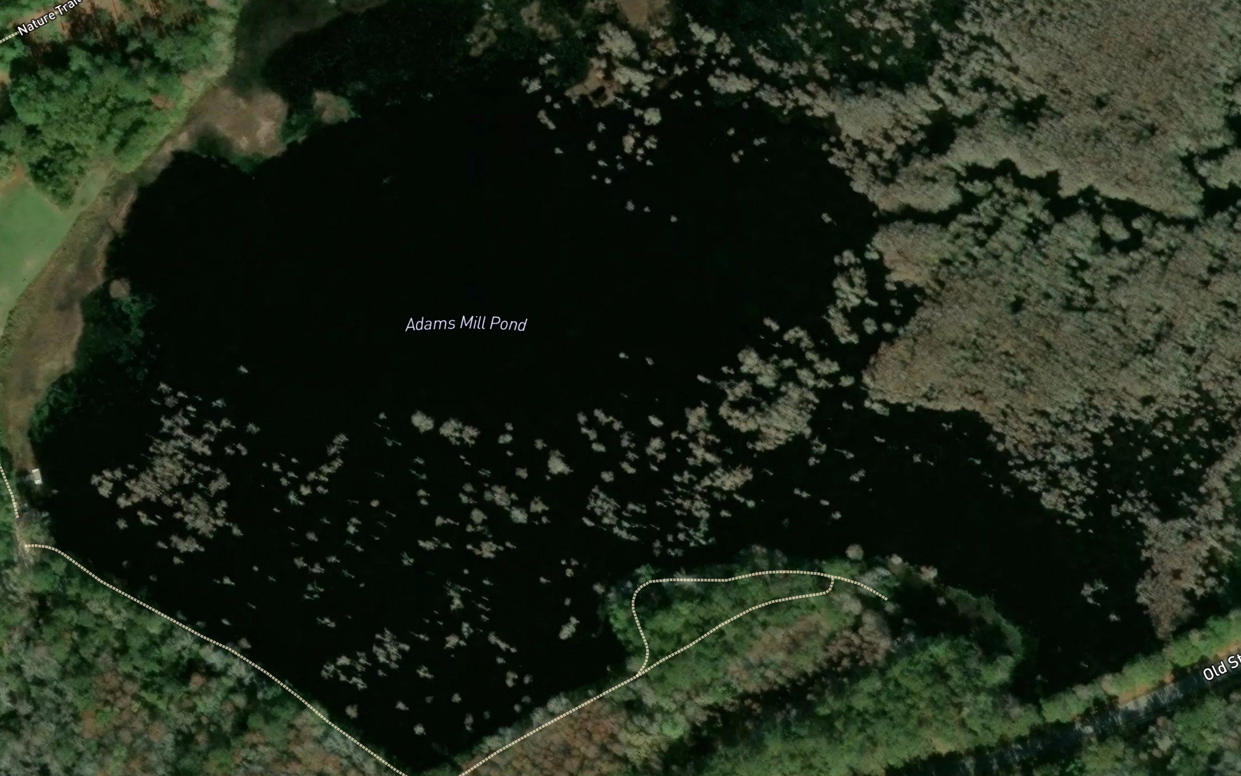 Adams Mill Pond