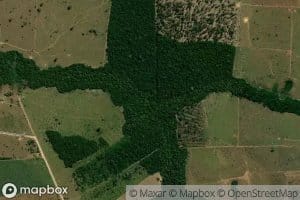 Igarape da Conceicao