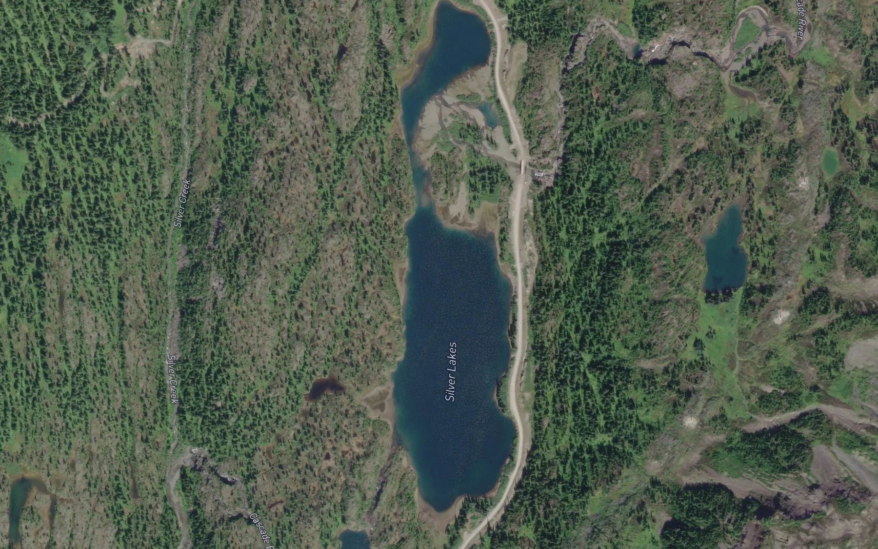 Satellite map of the Silver Lake