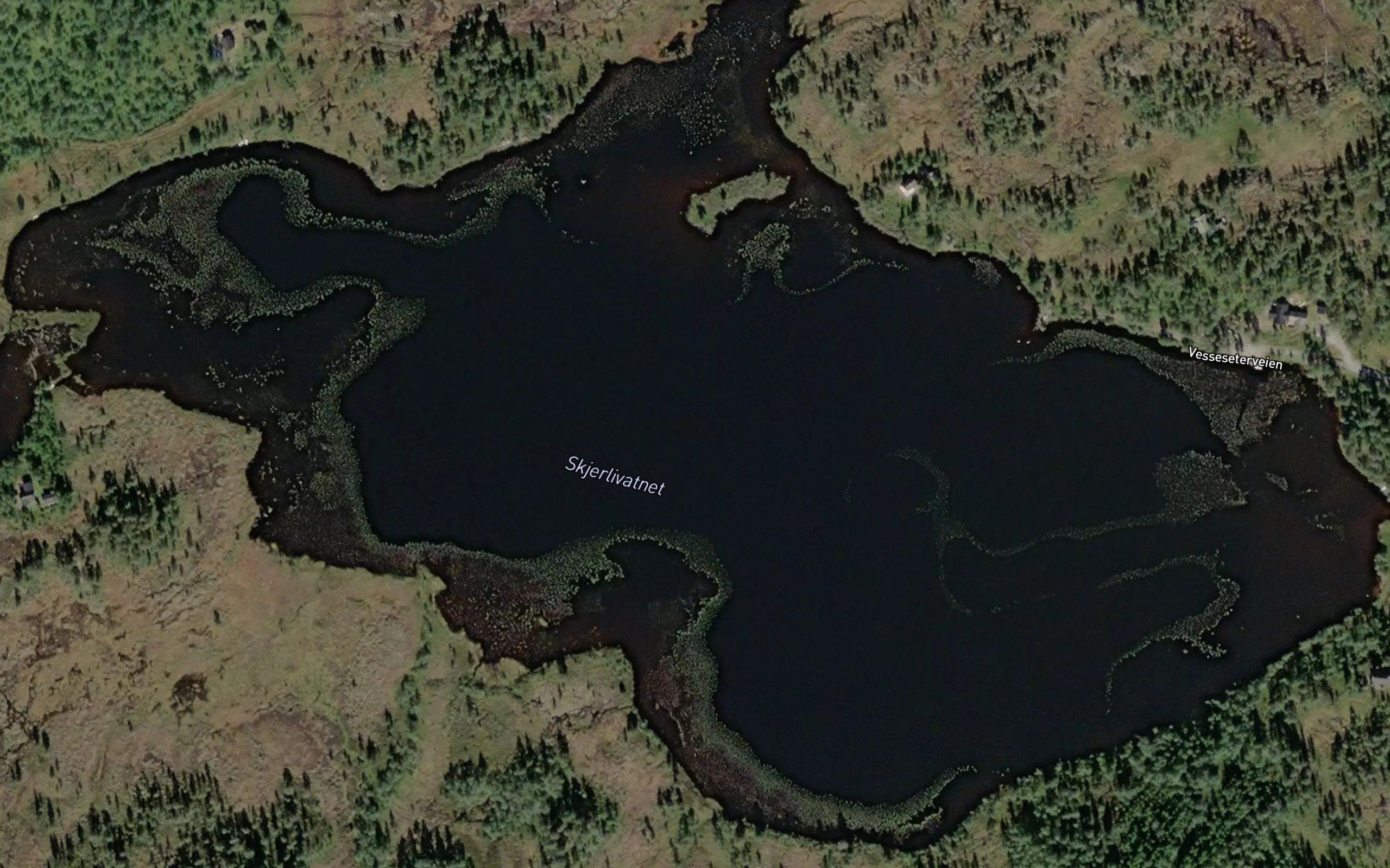 Skjerlivatnet