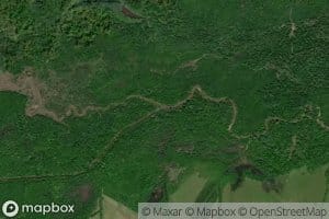 Trim Cane Creek