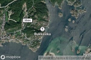 Bukkevig