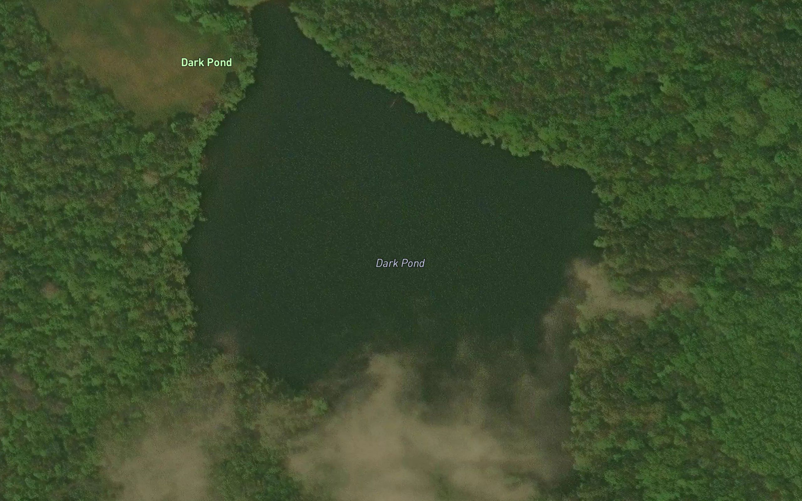 Dark Pond