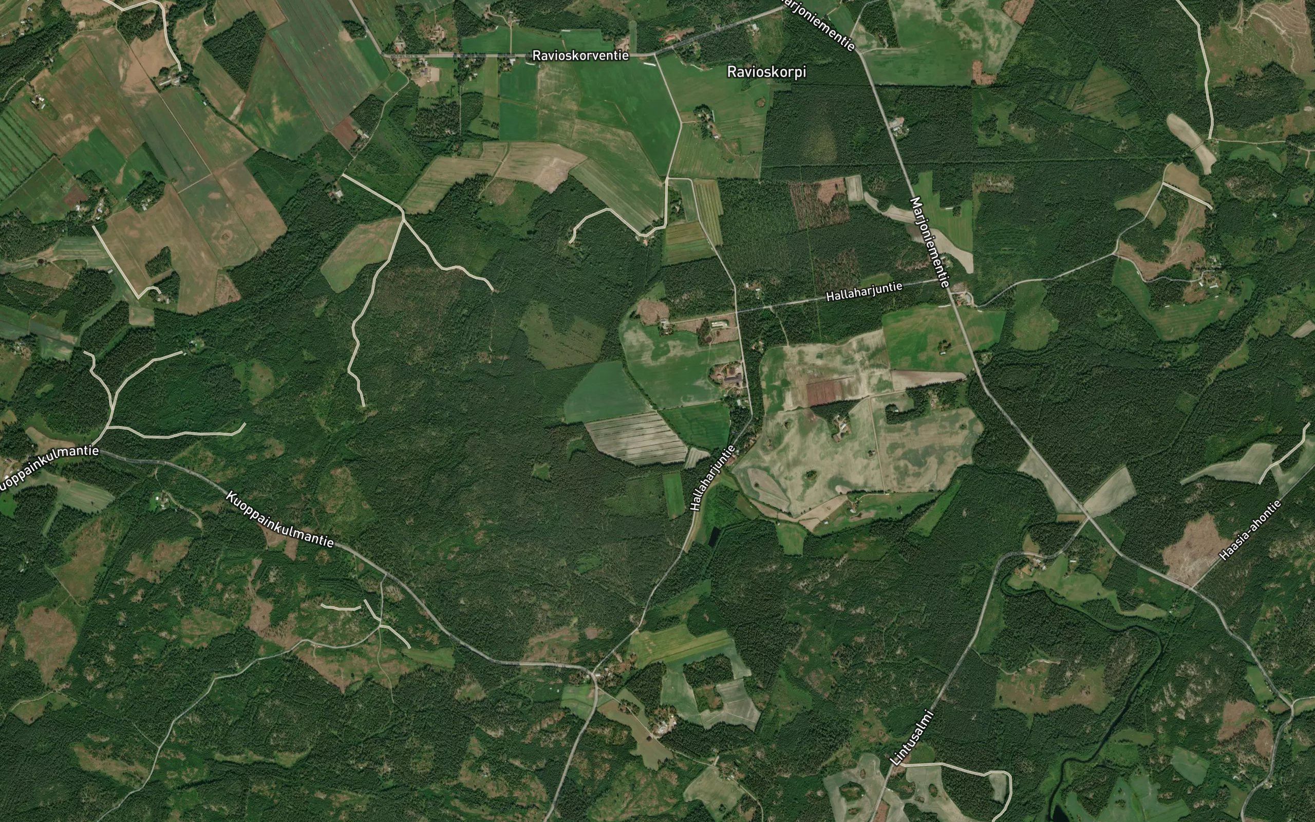 Ryssanoja