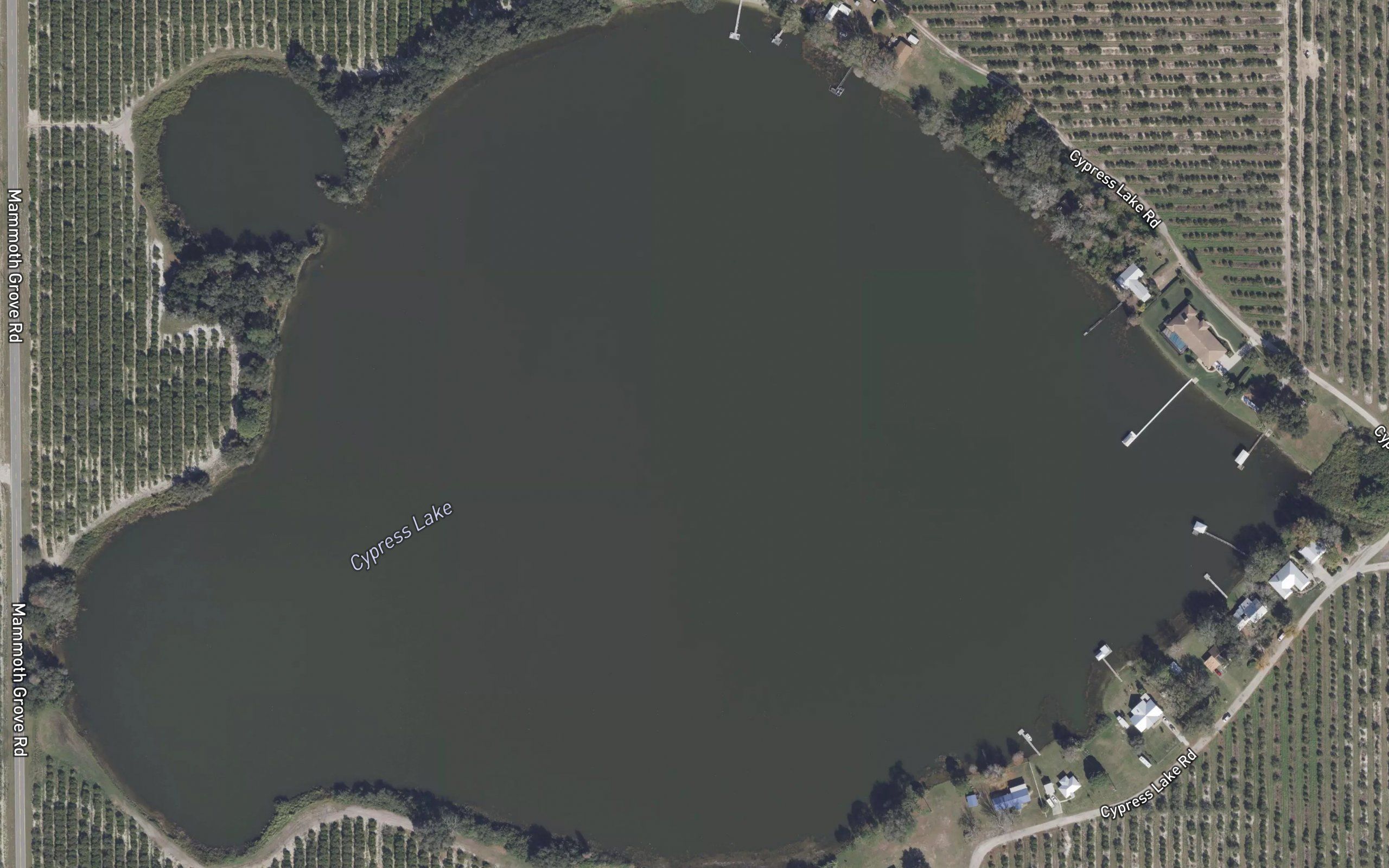 Cypress Lake