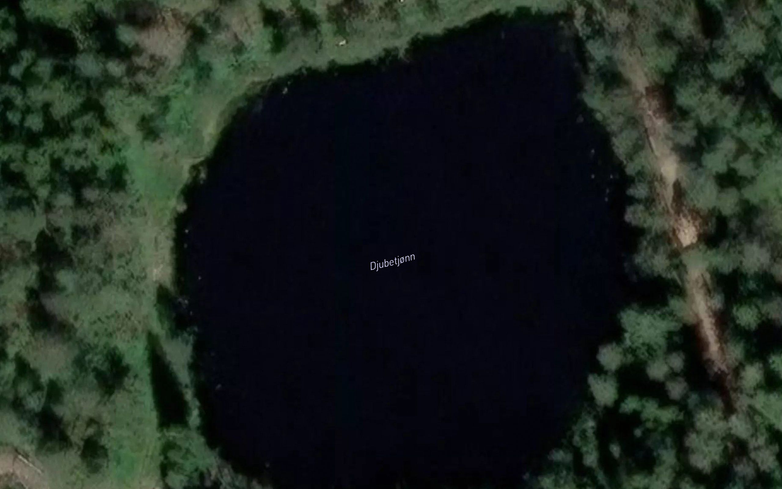 Djubetjonn
