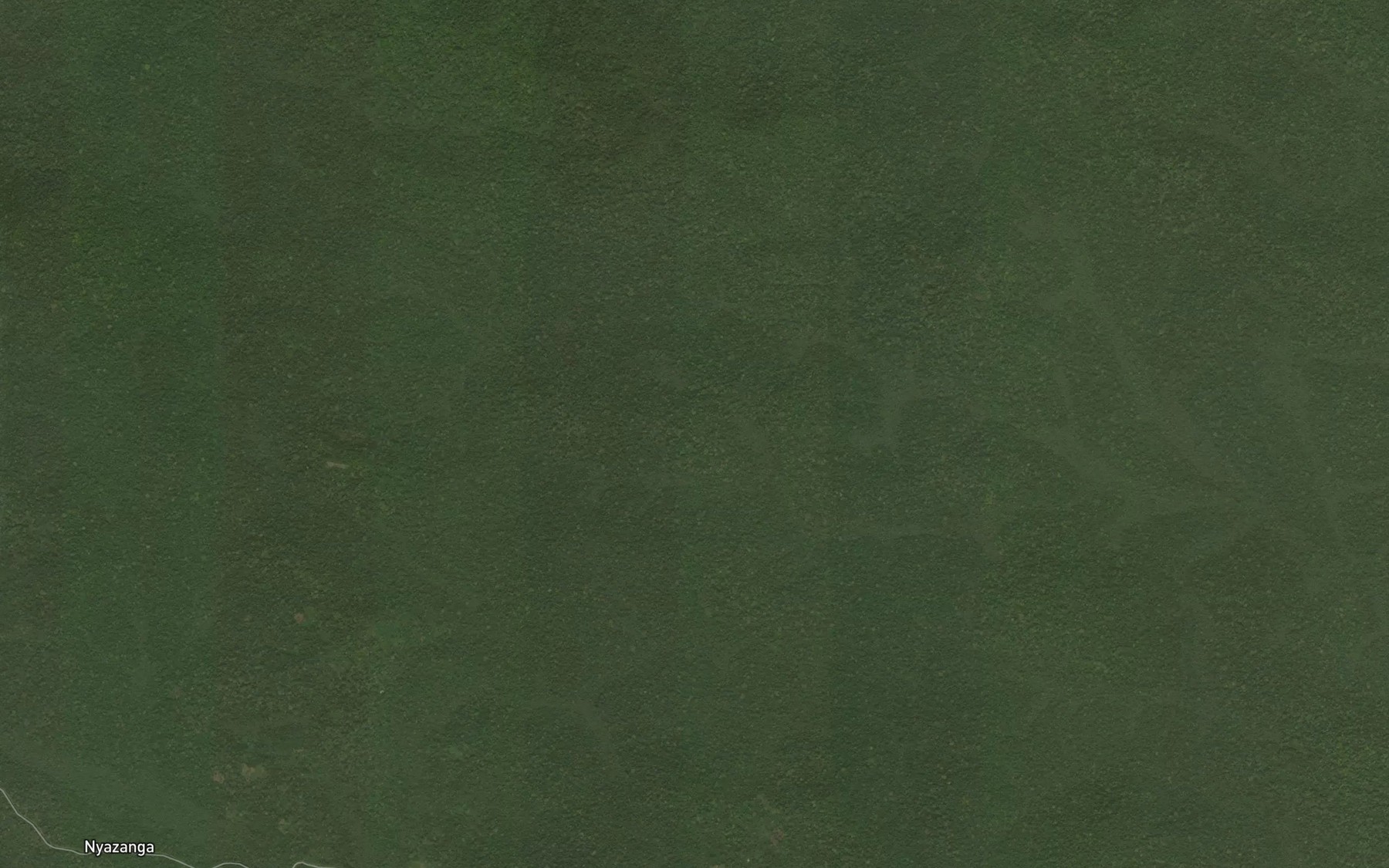 Satellite map of the Niafem