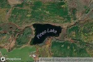 Pineo Lake