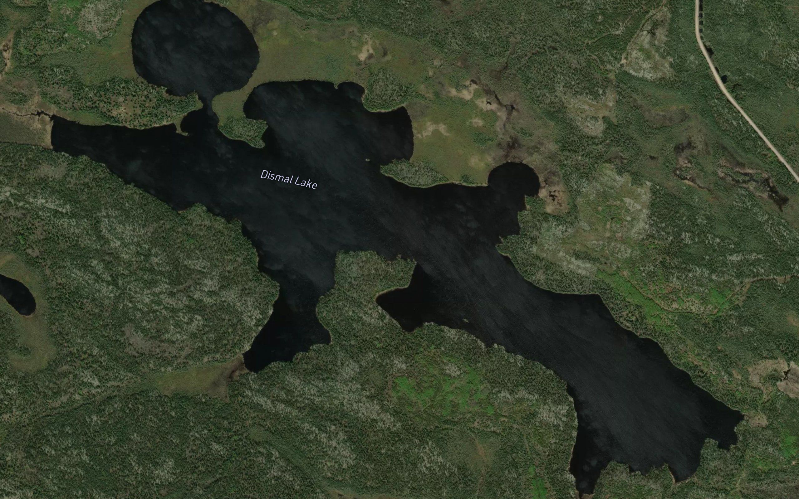 Dismal Lake