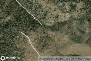 Spaghetti Number One Trough