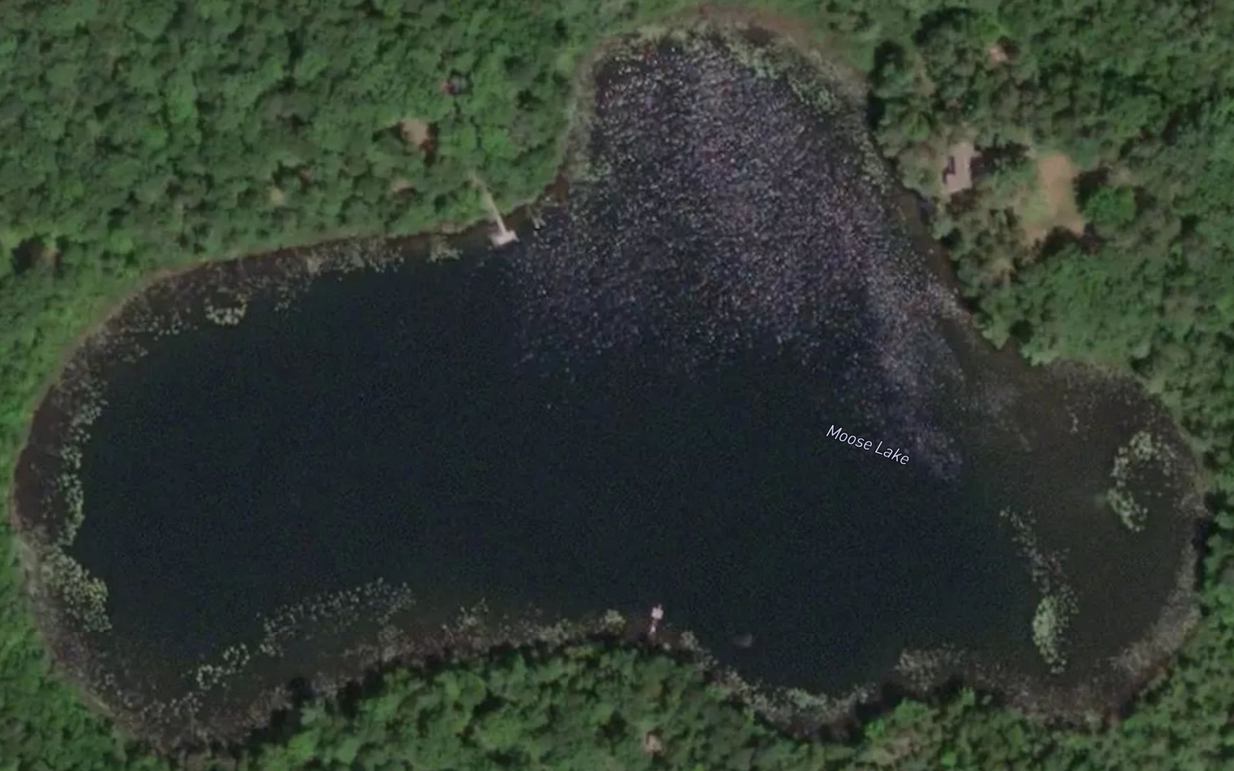 Satellite map of the Moose Lake