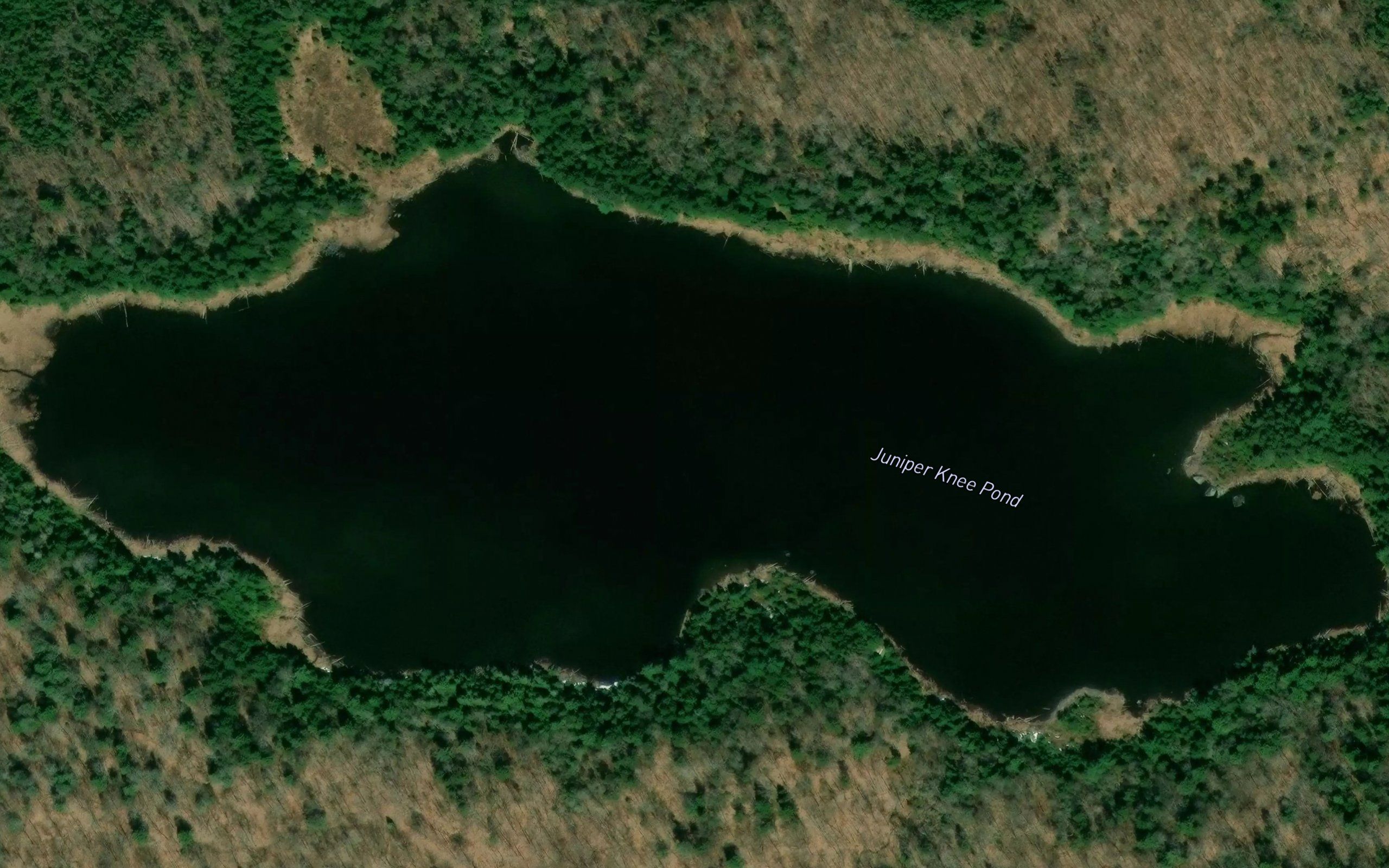 Juniper Knee Pond