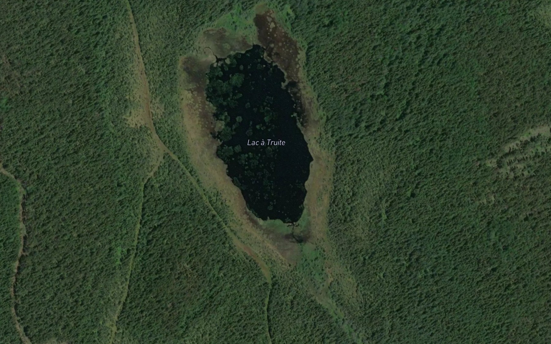 Satellite map of the Lac aux Foins