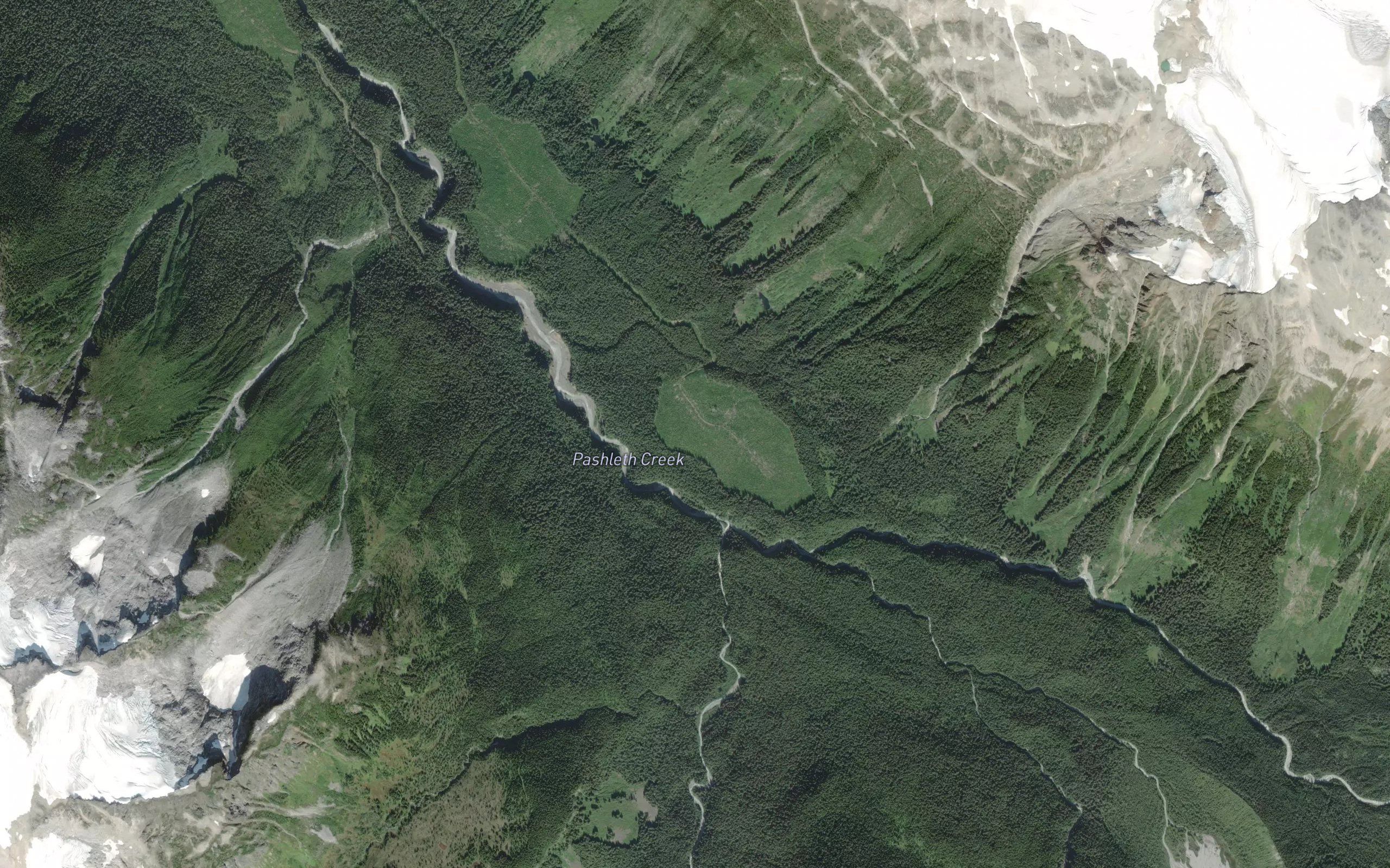 Selman Creek