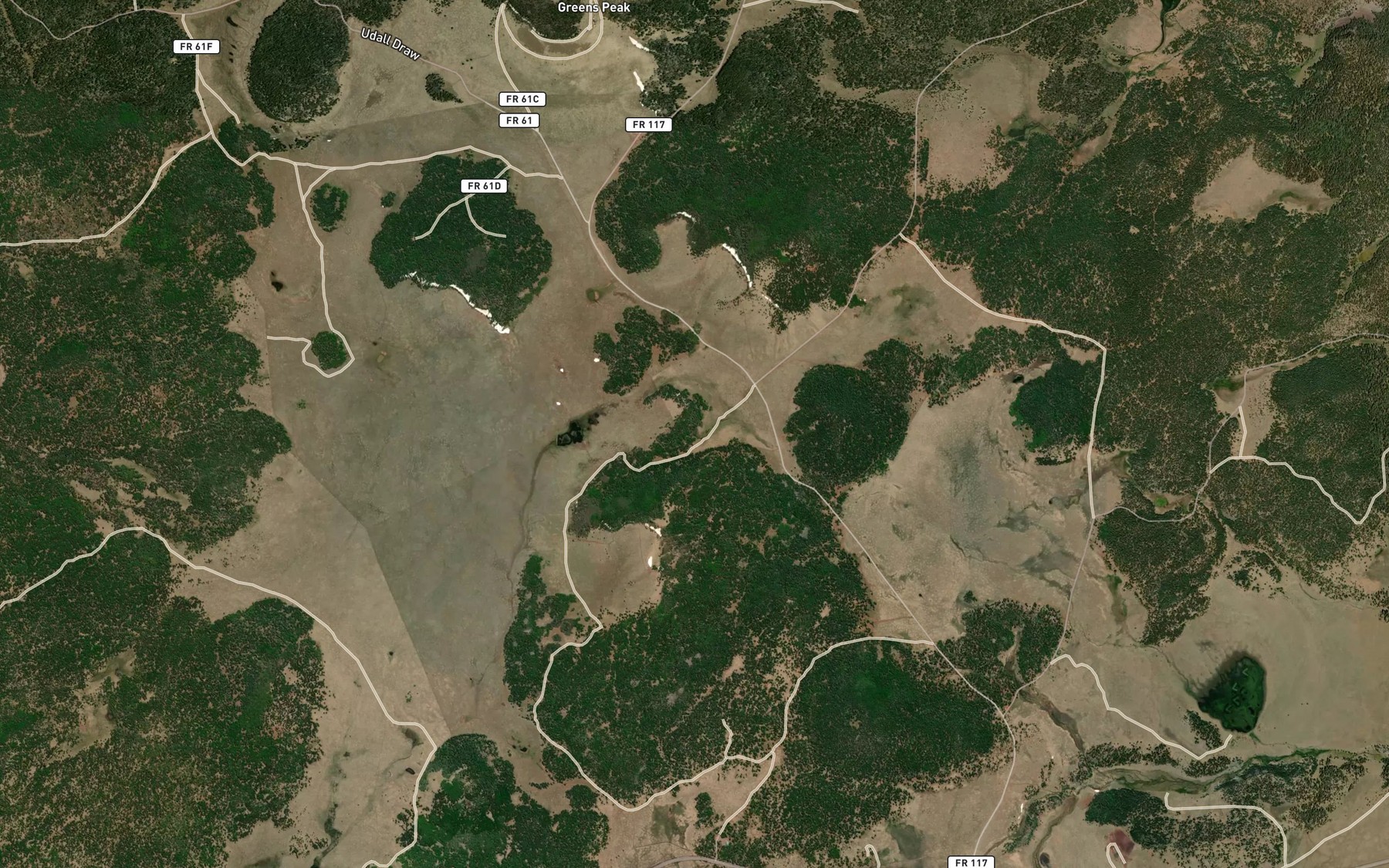 Satellite map of the Swinborne Spring