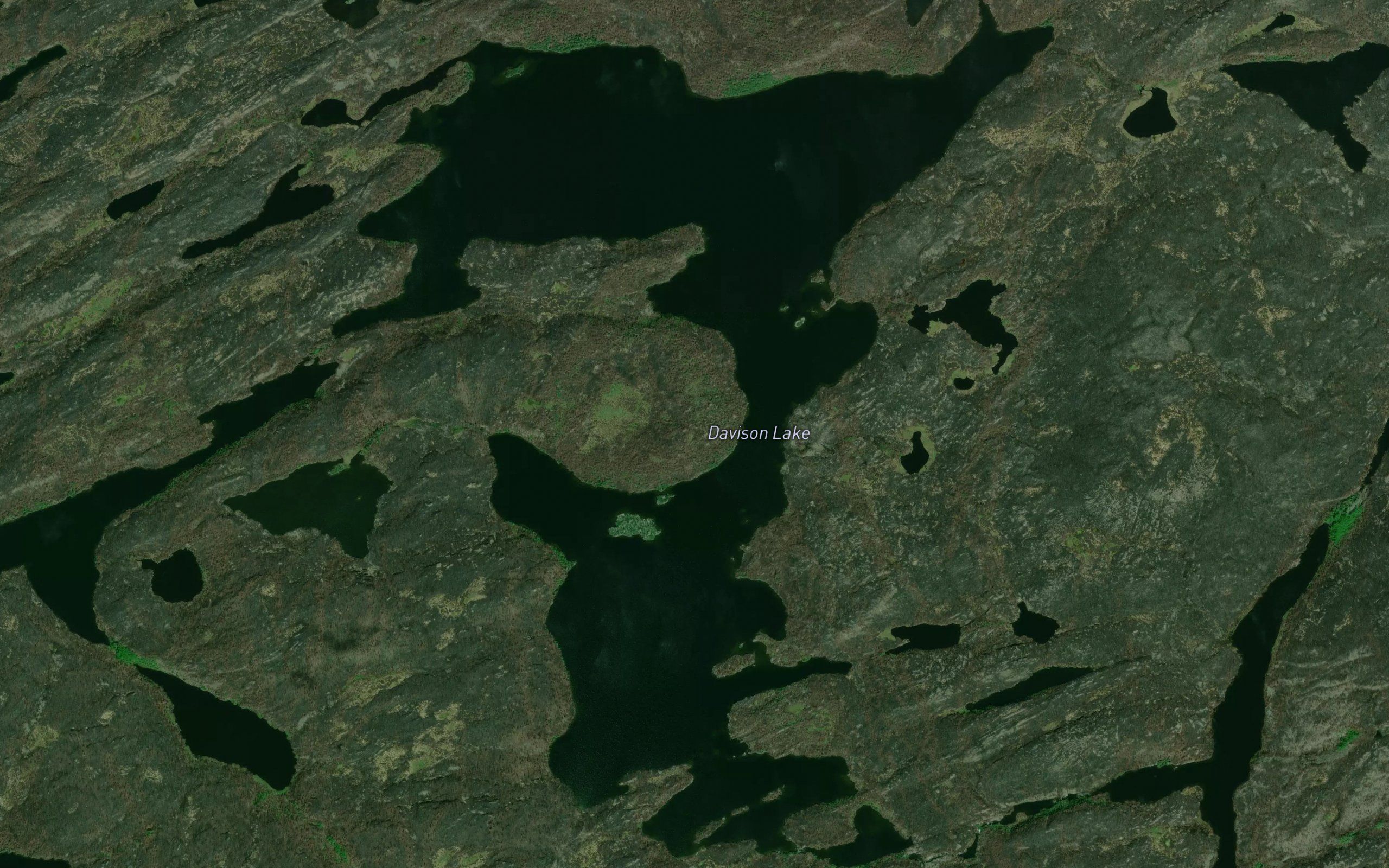Davison Lake