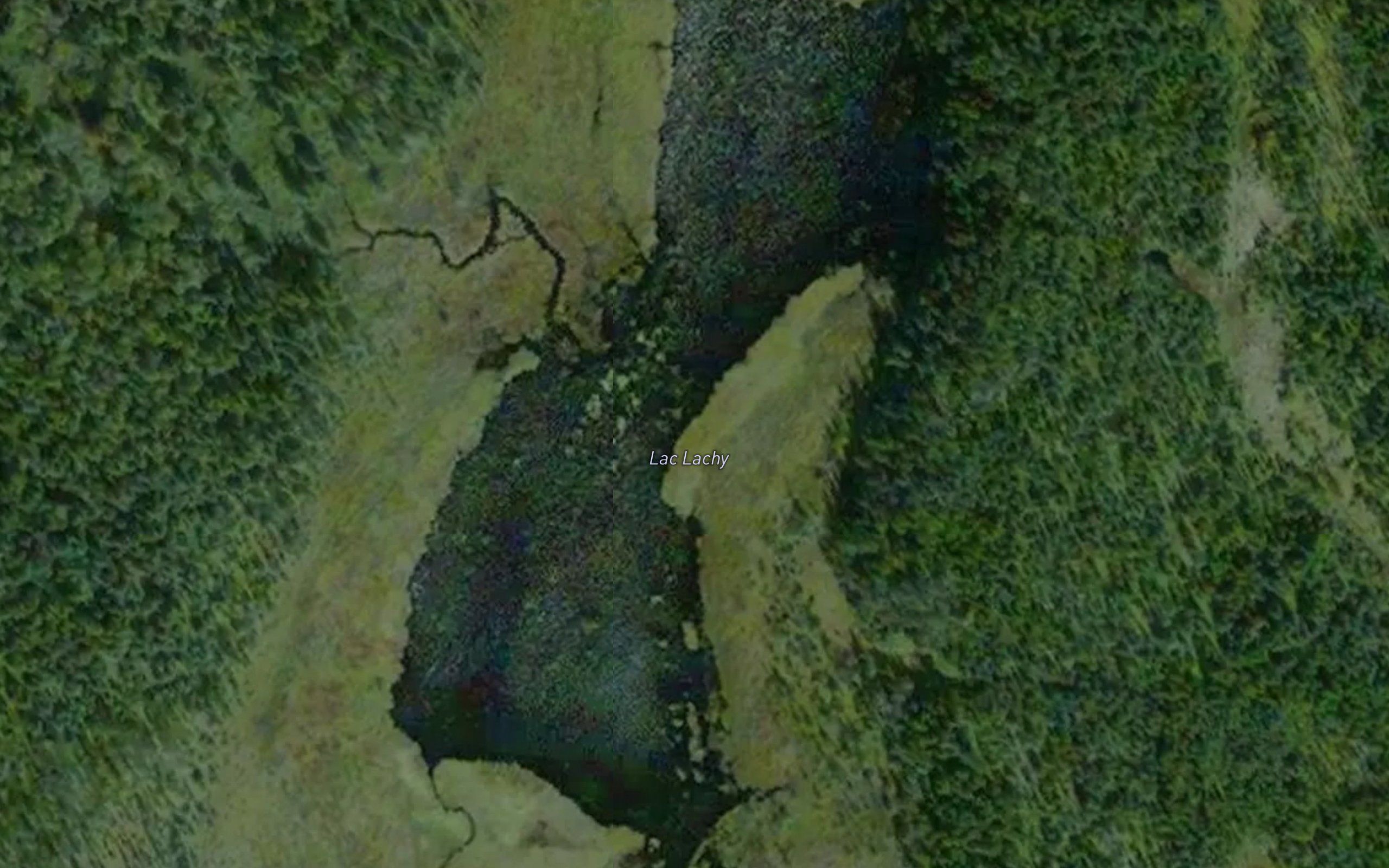 Lac Lachy