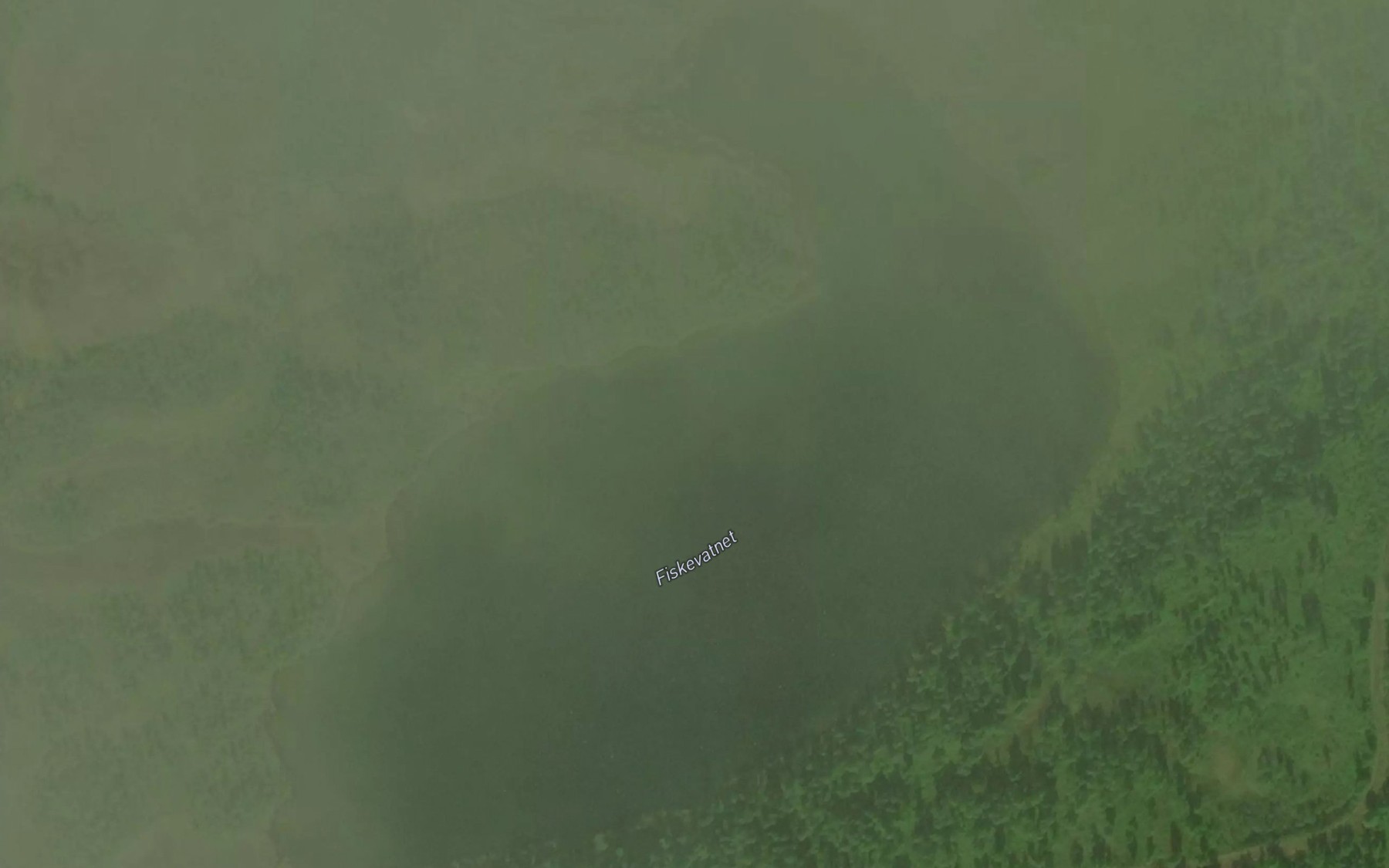 Satellite map of the Fiskevatnet