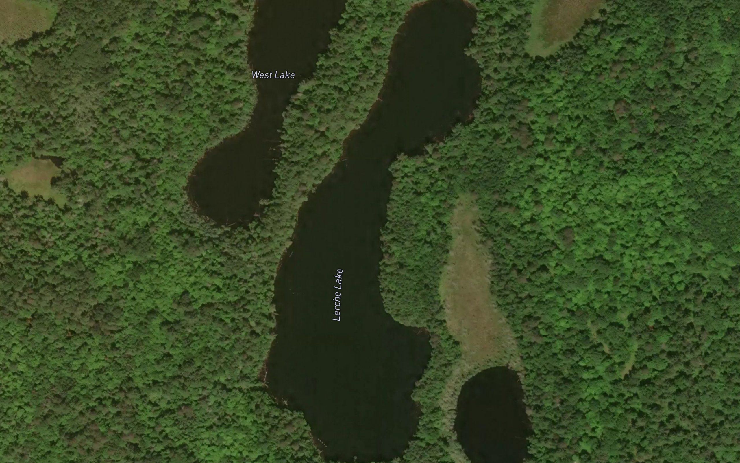 Lerche Lake