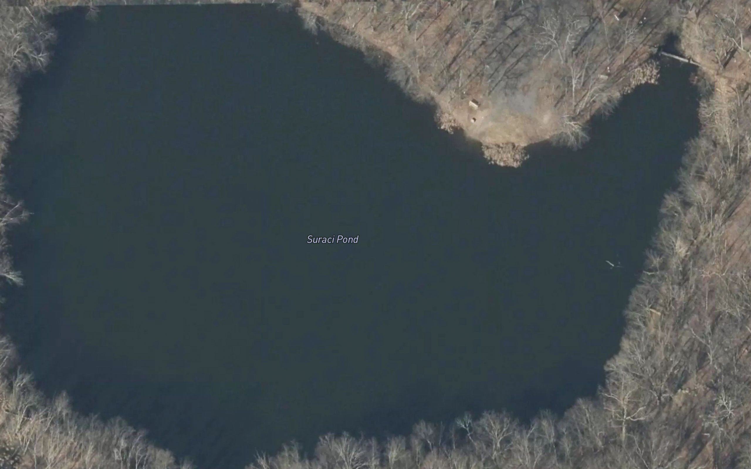 Suraci Pond