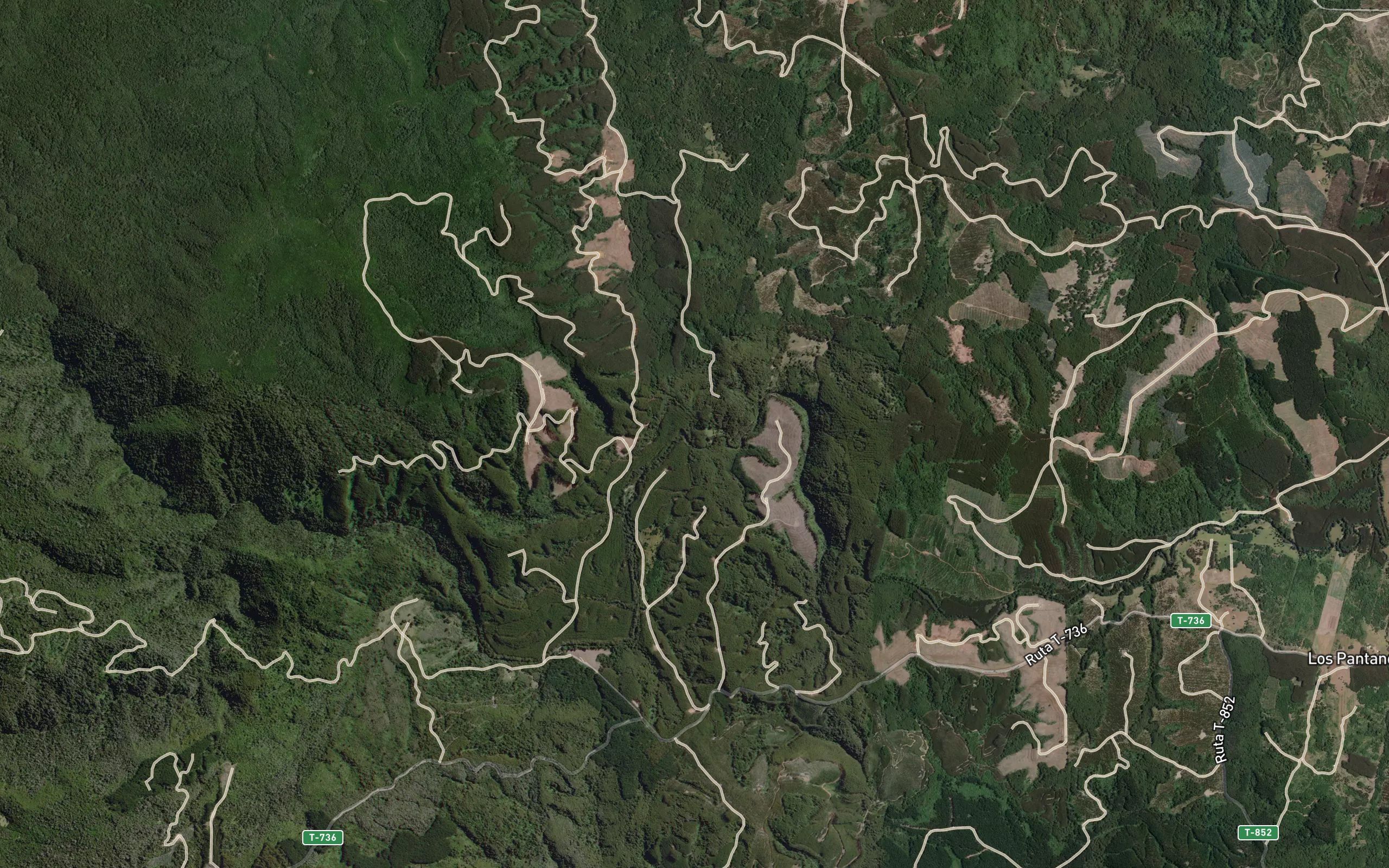 Estero Colegual