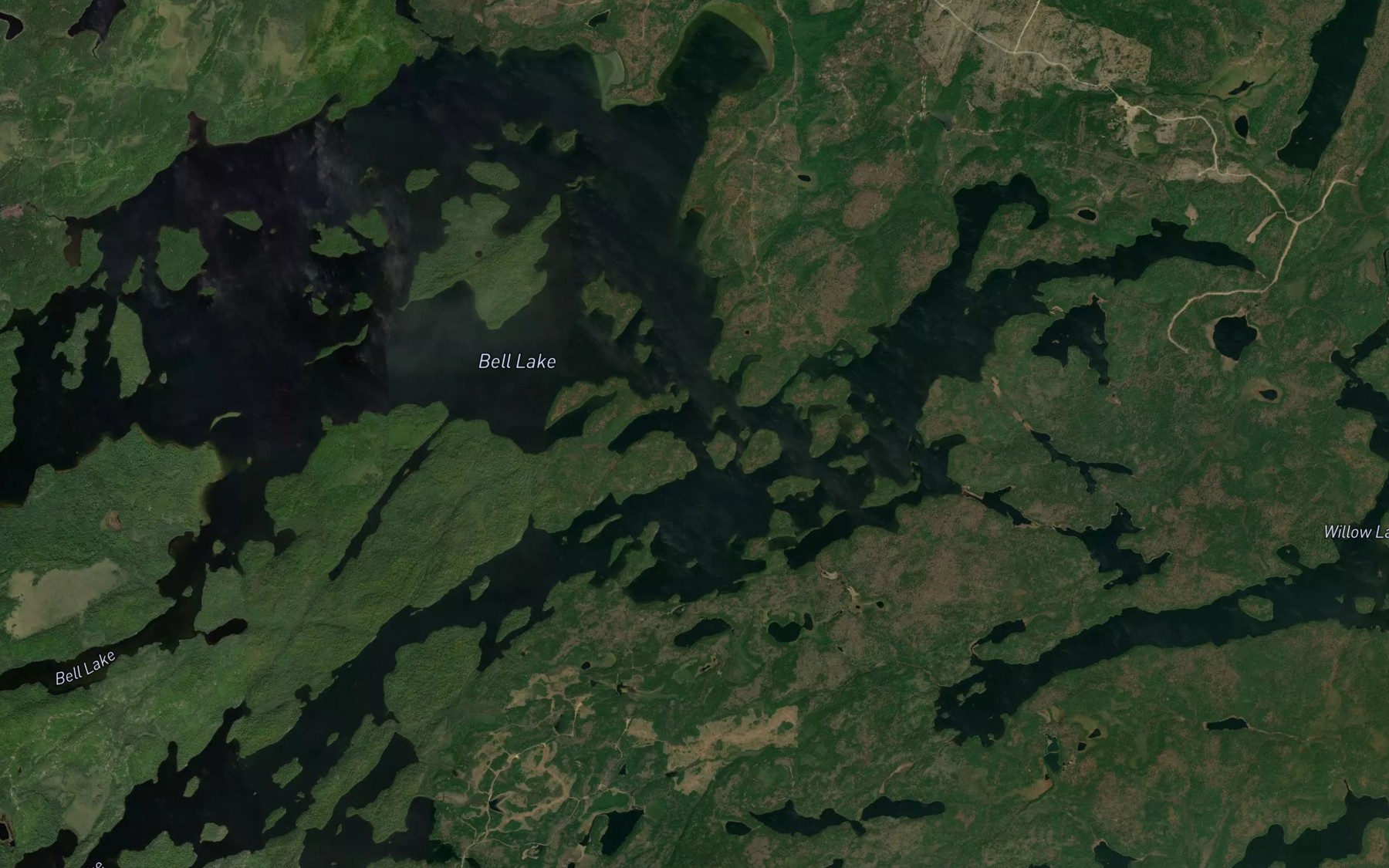 Satellite map of the Bell Lake