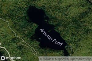 Arbutus Pond