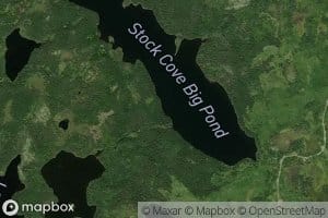 Stock Cove Big Pond