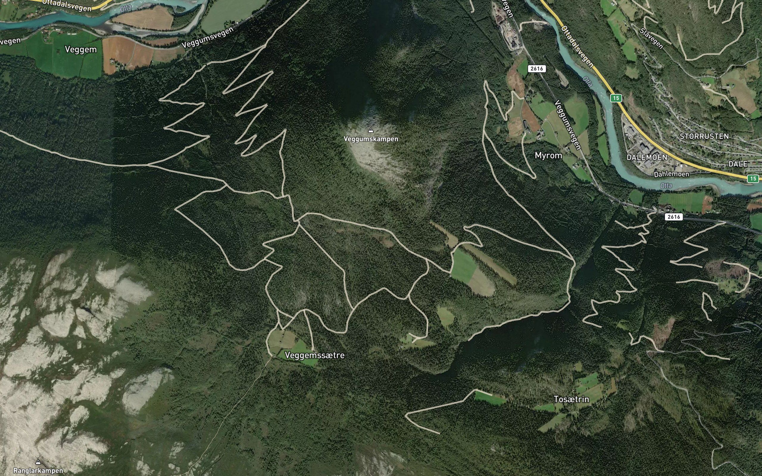 Kampetjonn