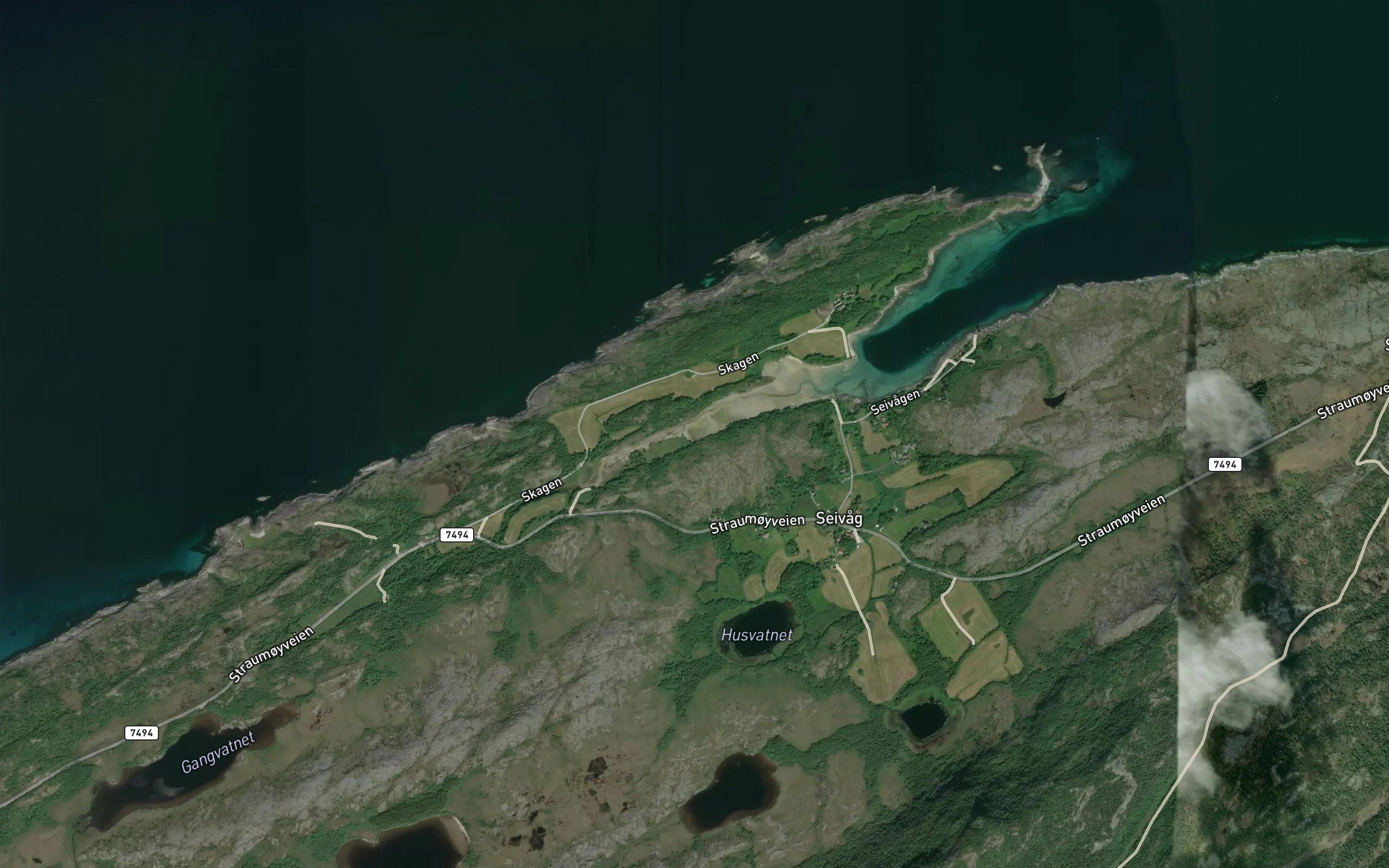Buvika