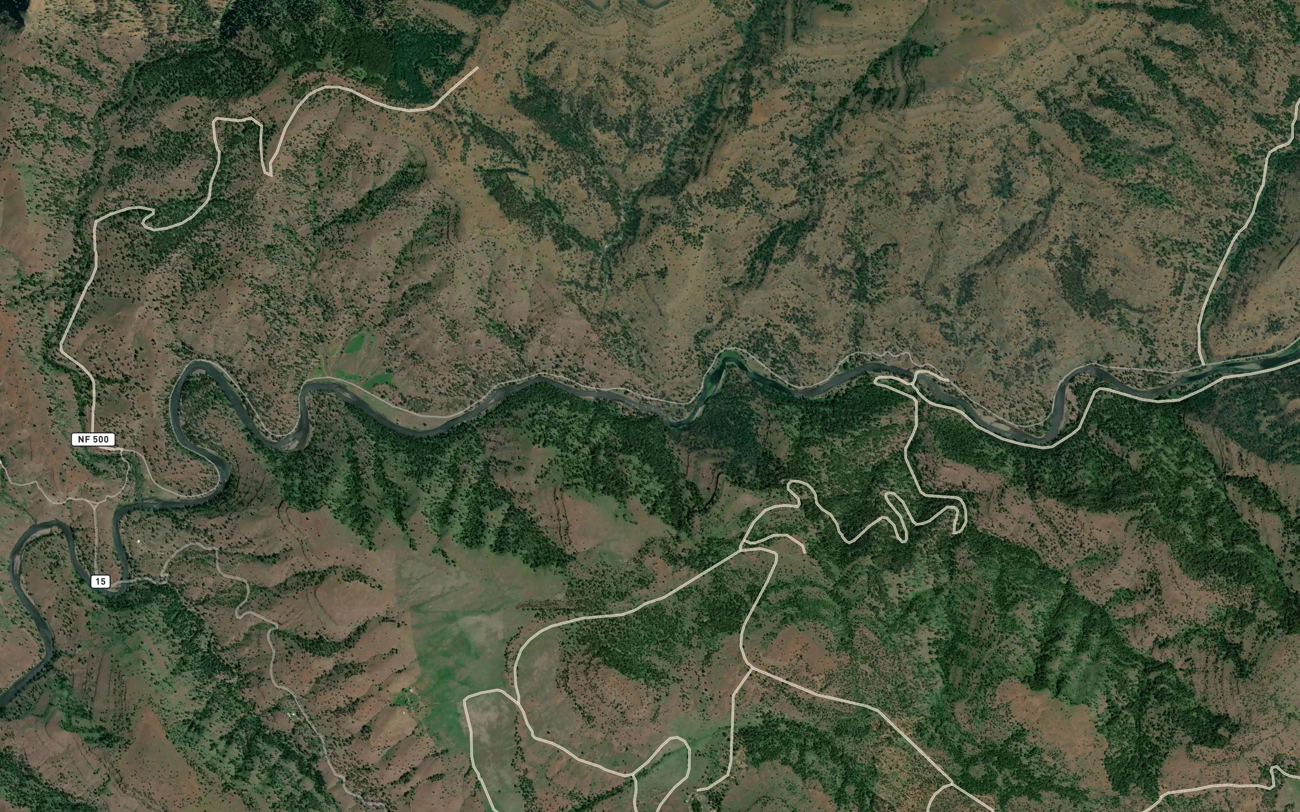 Monkey Creek