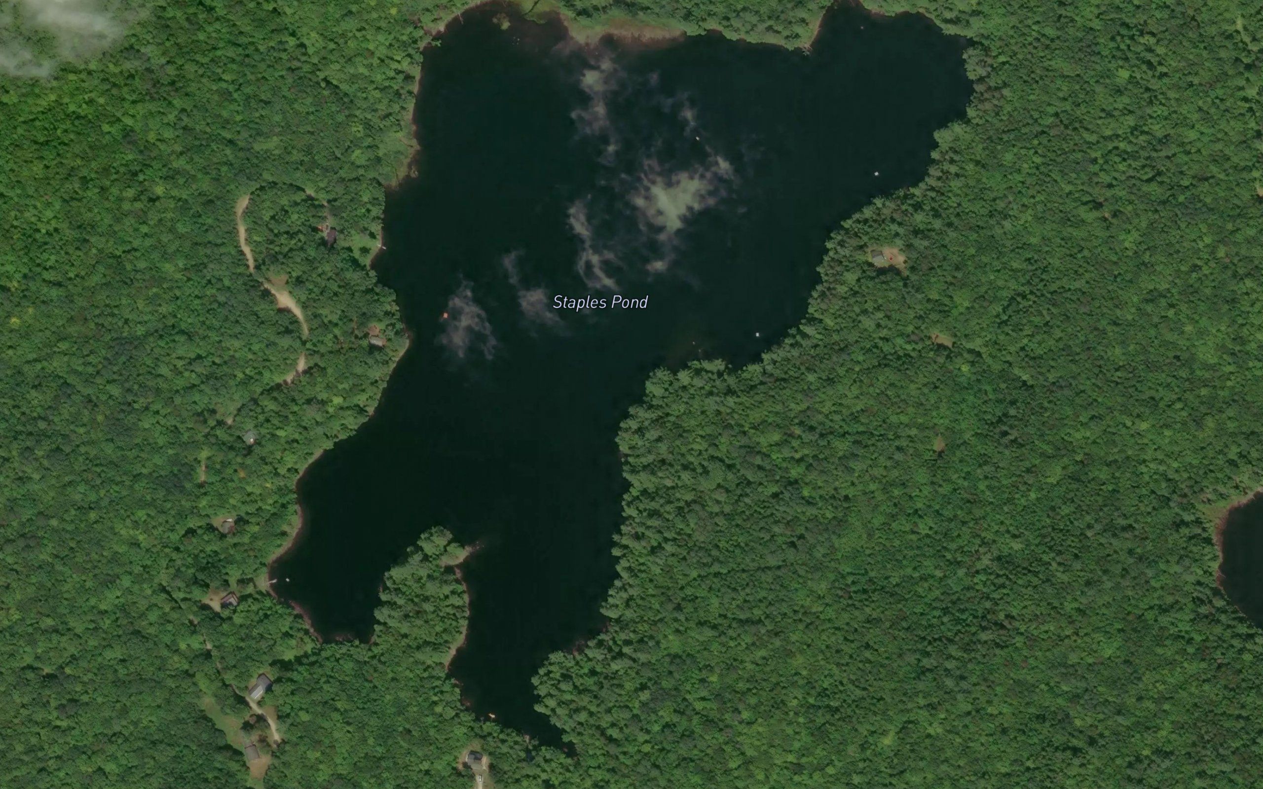Staples Pond